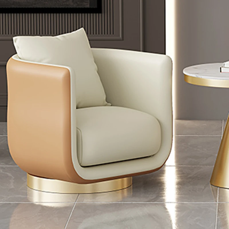 

Nordic Living Room Chair Lounge Accent Vanity Salon Office Luxury Designer Chair Bedroom Arm Lazy Fauteuil Salon Dining Chairs