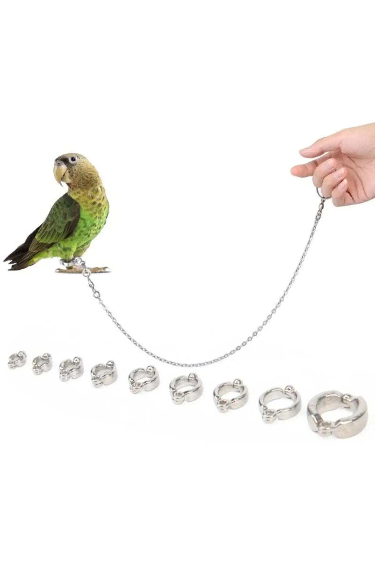 

Birds Pets Toys Parrot and budgerigar foot teas (medium size)