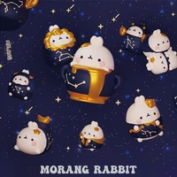 surprise toys molang rabbit constellation series korean cartoon cute keychain pvc figure toy decoration girl gift key fitting