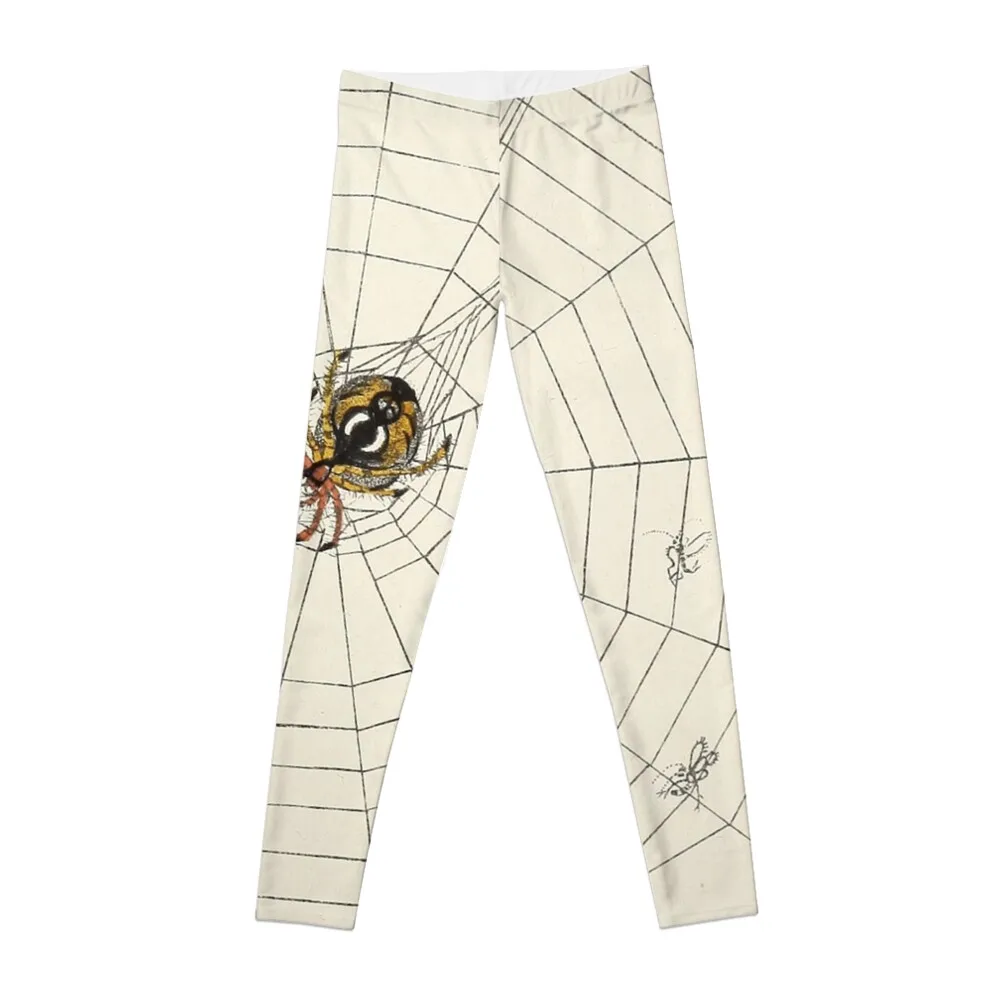 Винтажный садовый паук с веб-илюстрацией (1891) Леггинсы спортивная одежда для