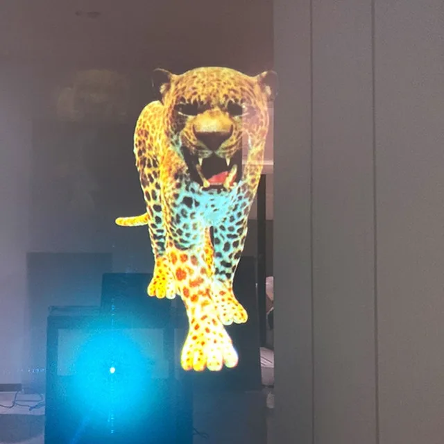 

3d holographic rear projection screen