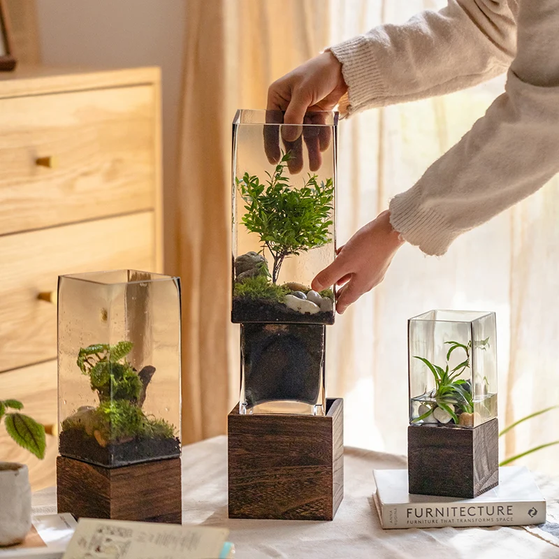 

Nordic Glass Vase with Wooden Base for Hydroponic Flowers Artificial Dried Flowers Living Room Office Desk Terrarium Decoration