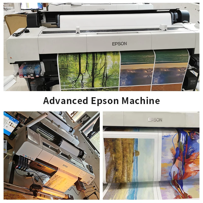 Коллекция милой культуры плакат с собакой в виде анатомии Шарпея художественный