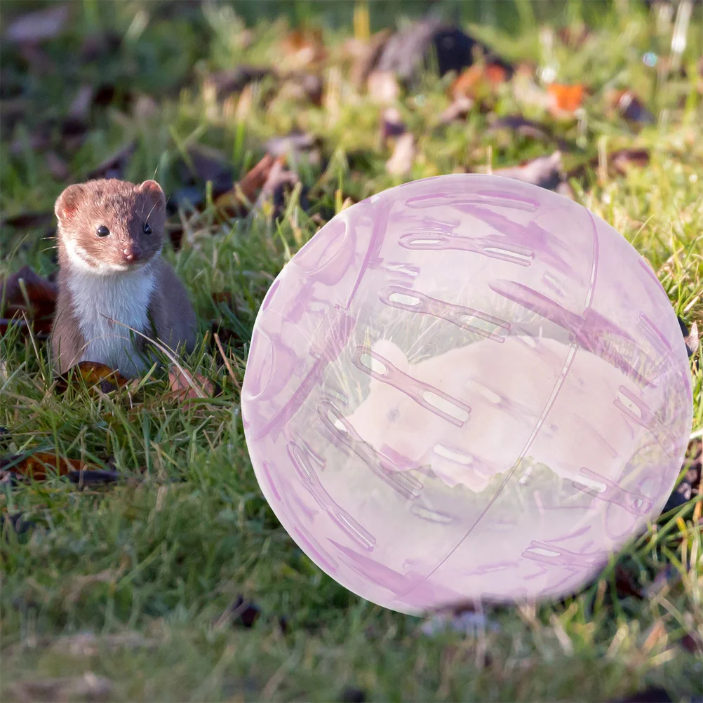 Игрушки для малышей мяч упражнений хомяк вещи бега шиншилла животное маленькие