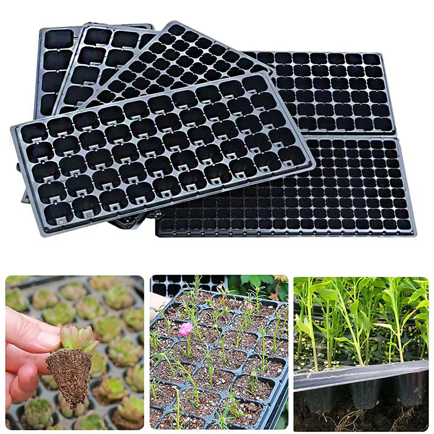 

21/32/50/75 Holes Seedling Pot Planting Pot Gardening Balcony Seedling Tool Seed Germination Seedling Box Seed Growth Box