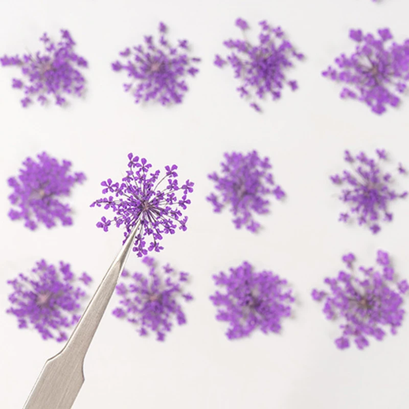 24 шт./1 5-2 5 см натуральный Снежный бисер прессованный лепесток цветов капельная