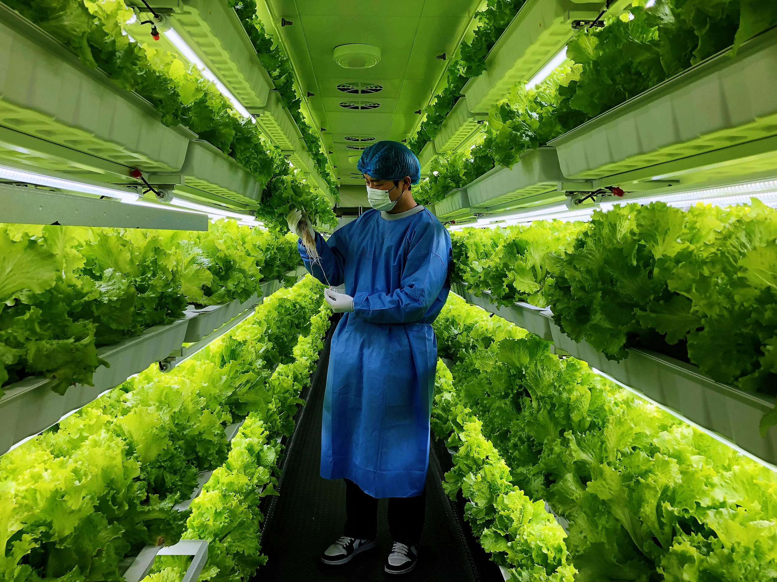 Project под ключ 40HQ Умная ферма Доставка Система гидропонных контейнеров для