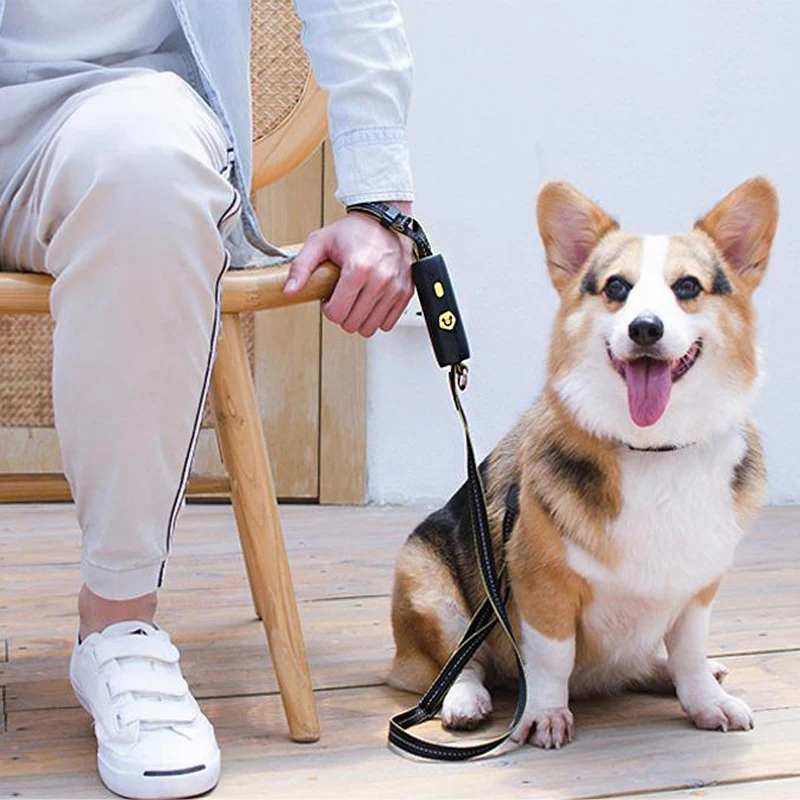 

Pet Leash for Dogs Nylon Retractable Dog Night Walking Safe Reflective Leash Durable High Quality Metal Ring Pet Collar
