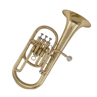 factory direct oem high quality cheap gold alto horn