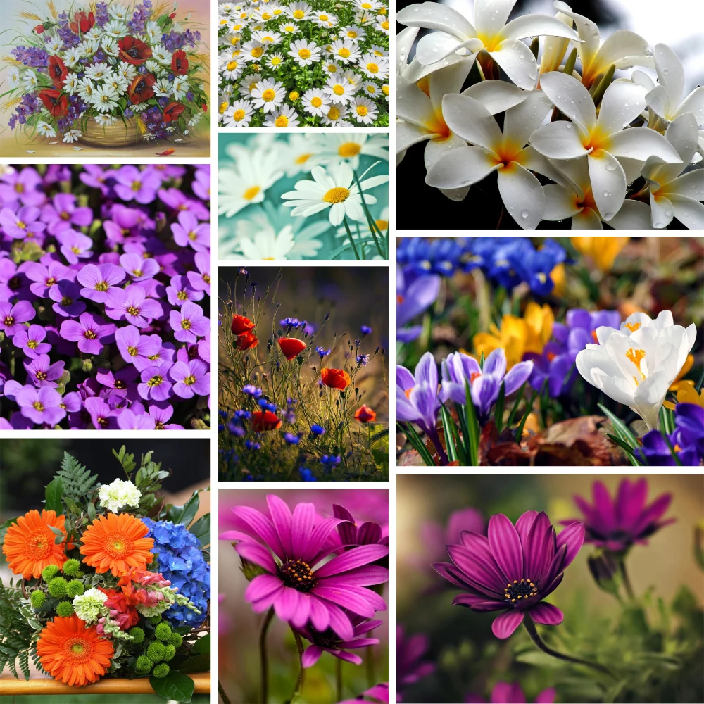 

Цветочная Хризантема, предварительно напечатанная Вышивка крестиком, Набор для вышивки своими руками, ручная работа, вязание, ручная работ...