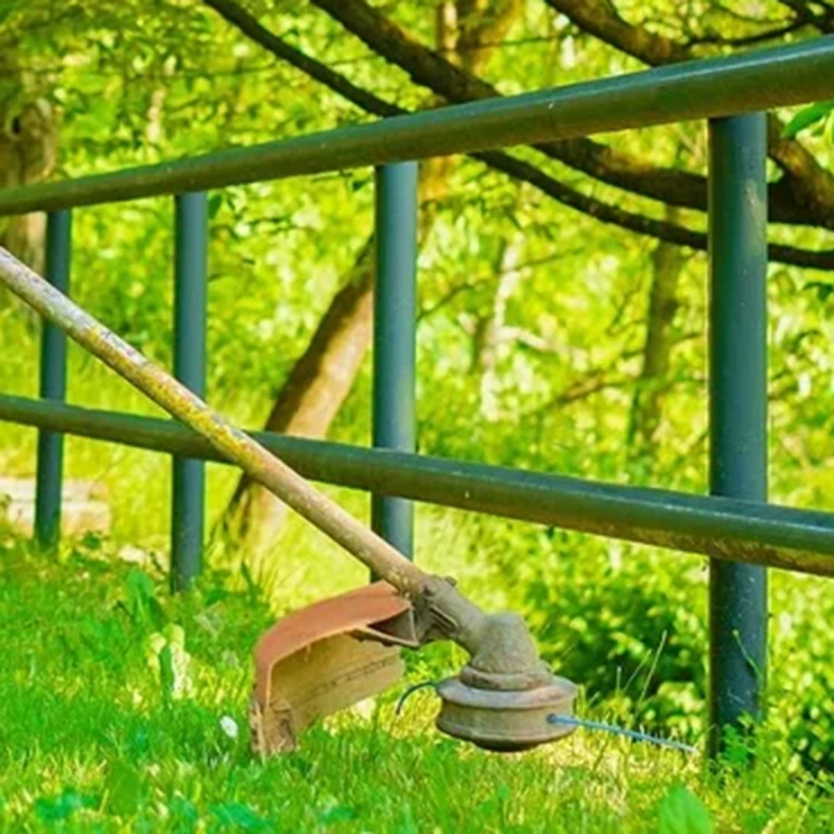 Прочный Триммер Для Газонокосилки 328 Футов Или Ум 화catori 한 Lai かetà Фило Инноваçãoção