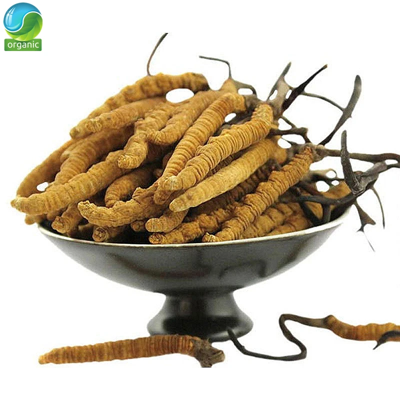 

Cordyceps,Cordyceps Sinensis,Chinese Caterpillar Fungus (Dong Chong Xia Cao)Cordyceps 3g