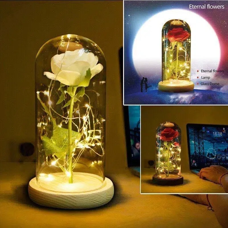 Glass Cover Galaxy Rose Night Light Gift Christmas Tree Santa Claus with Fairy String Lights LED Lights Desktop Decoration