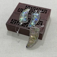 fashion natural abalone shell pendant 25x56mm chili shape rhinestone bound for diy making jewelry accessories necklace earrings