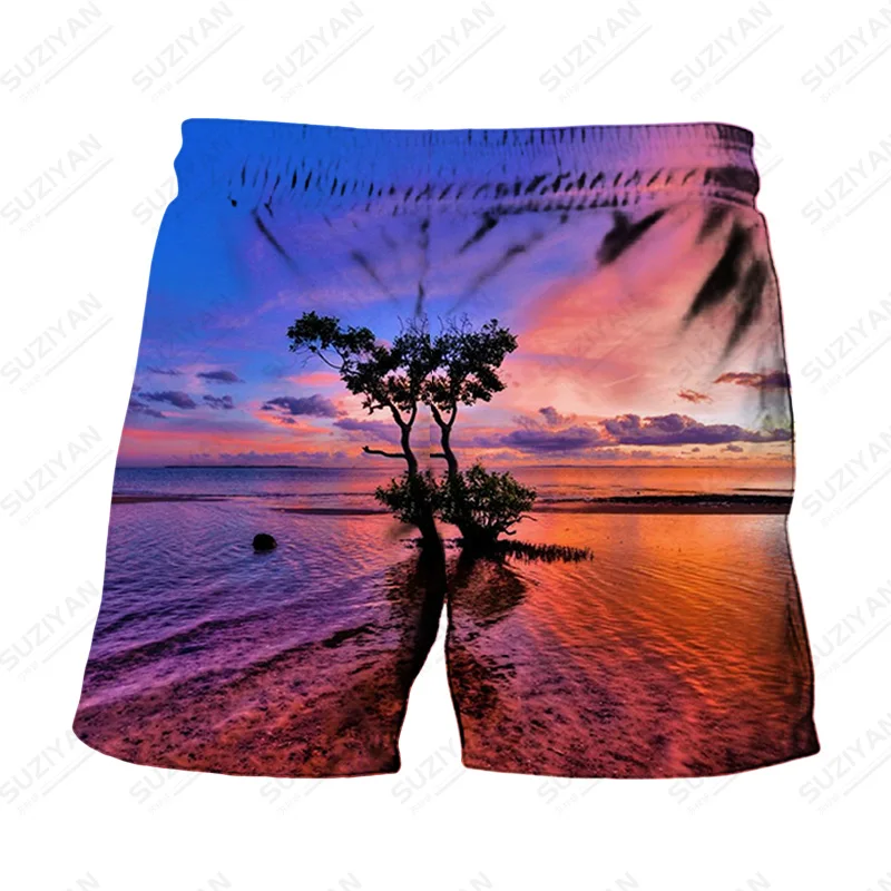 

Summer New Hot 3D Landscape Print Quick Dry Pants Mens Clothing Sport Running Best Selling Men Shorts Casual Beach Shorts Male
