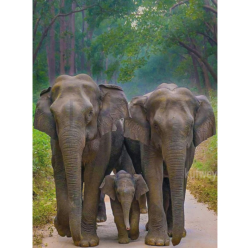 

Алмазная 5D картина «сделай сам» с изображением Семьи Слонов