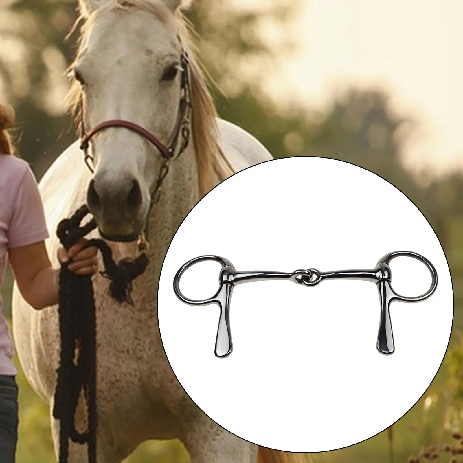 Horse Bit Mouth Training Tool for Horses Mules Bridle