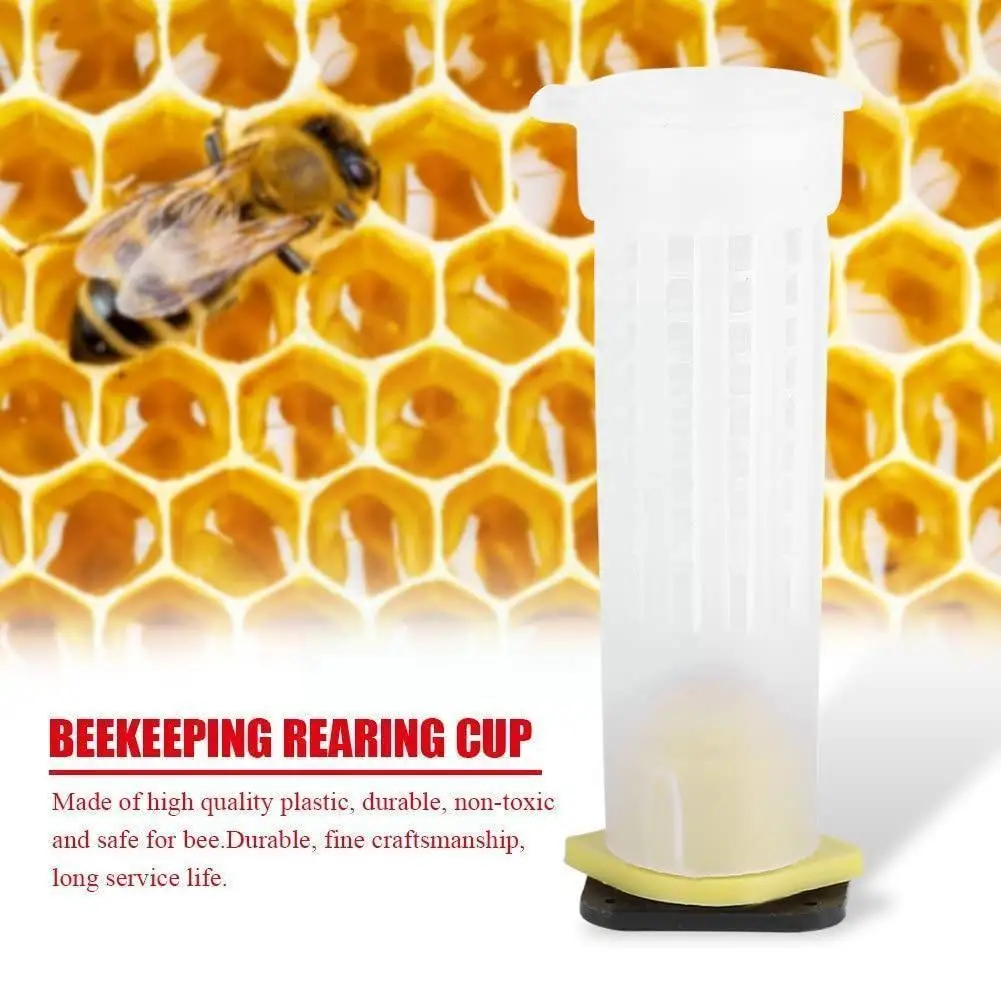 

Инструменты для пчеловодства, держатель для ячеек и аксессуары для ячеек, оборудование для пчеловодства, клетка, роликовые инструменты, наб...