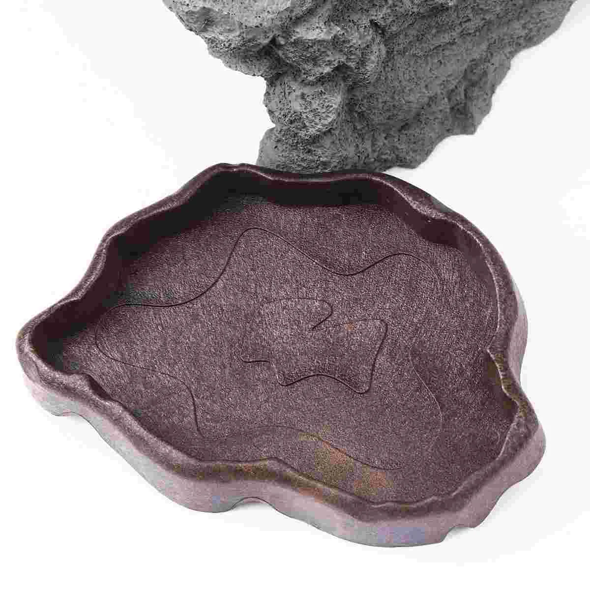 Блюдо для еды из смолы рептилий миска воды кормления черепах практичная кормушка