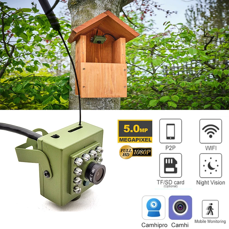 Green Camhi Wifi Bird Box Camera Kit RTMP Live Audio 1920P 1