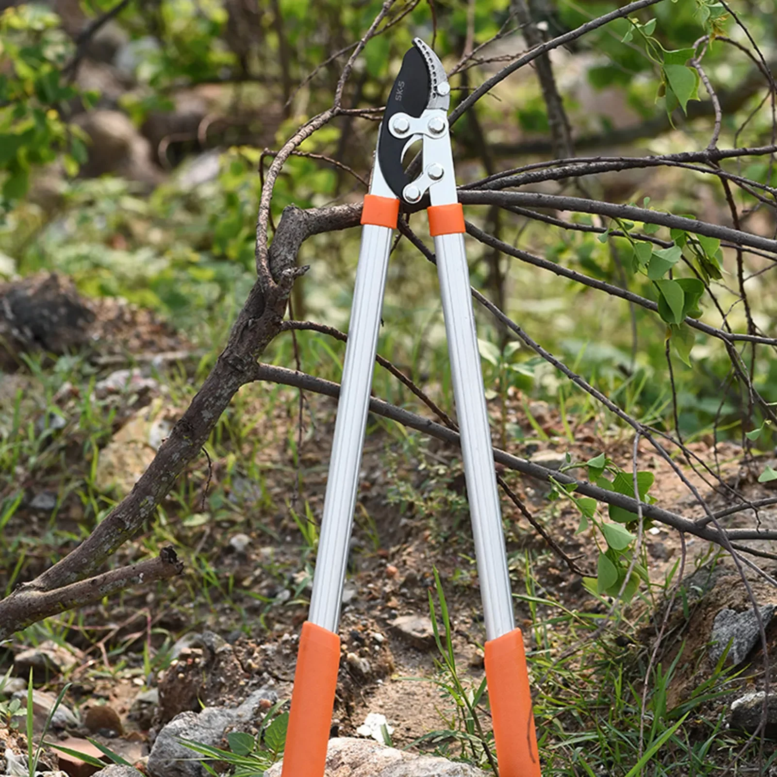 

Garden Tree Pruning Shears High Branch Pruning Tool Long Handle Fruit Knife Picker Loppers Anvil Lopper Pruner Garden Tool