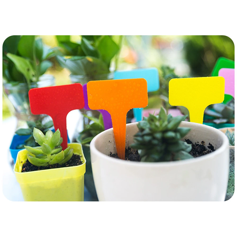 

50pcs Gardening T-Shaped Plastic Label Plant Tag Waterproof Writing Card Seedling Marking Garden Multicolor Labels Plants Sign