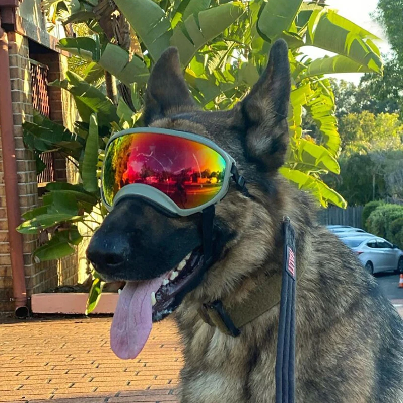 Im freien Hund Pet Gläser Hund Mode Sport Sonnenbrille Verstellbaren Riemen für Reise Skifahren und Anti-FogPet Brille Sonnenbrille