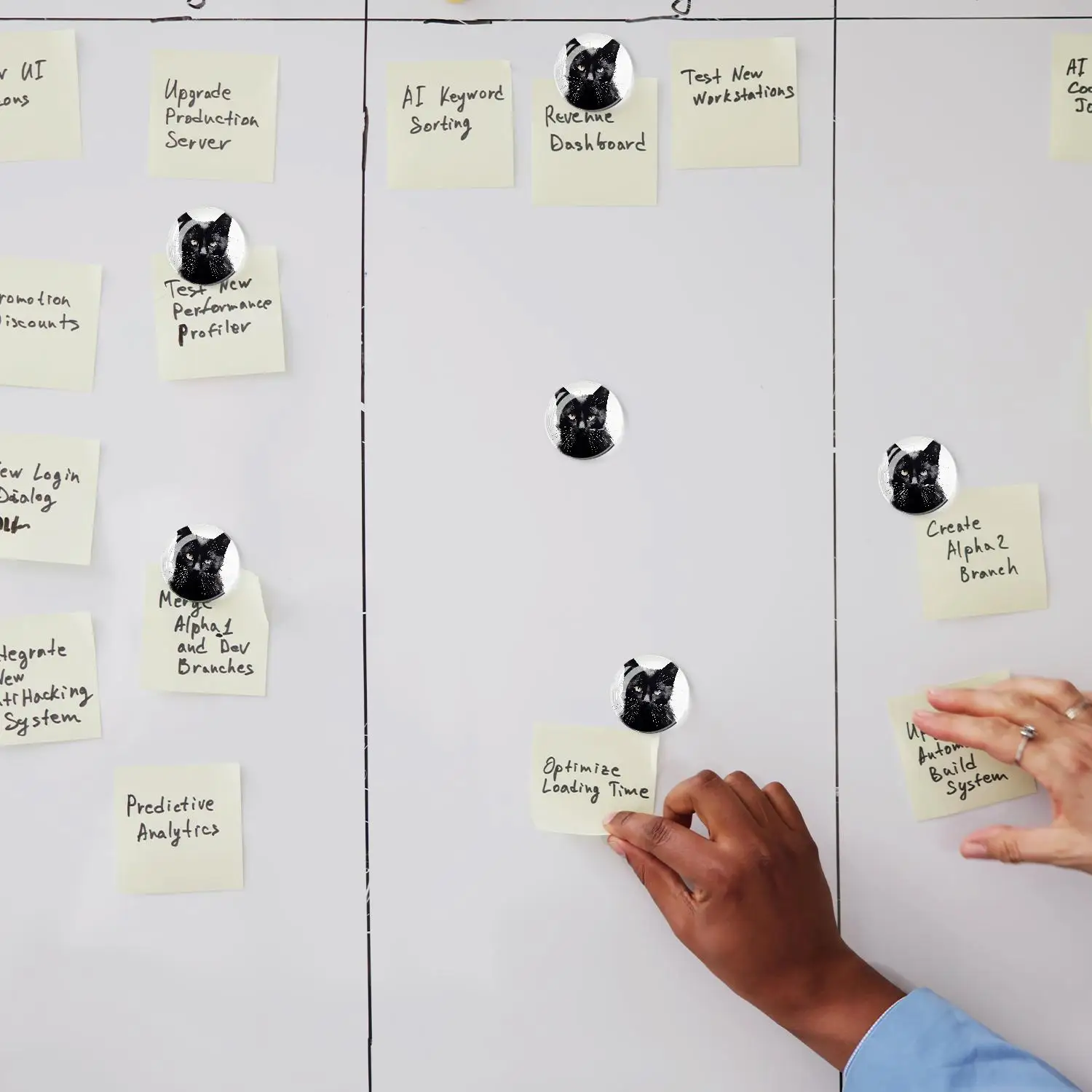 6 магнитов милые магниты на холодильник сверхпрочные пантера животных черный