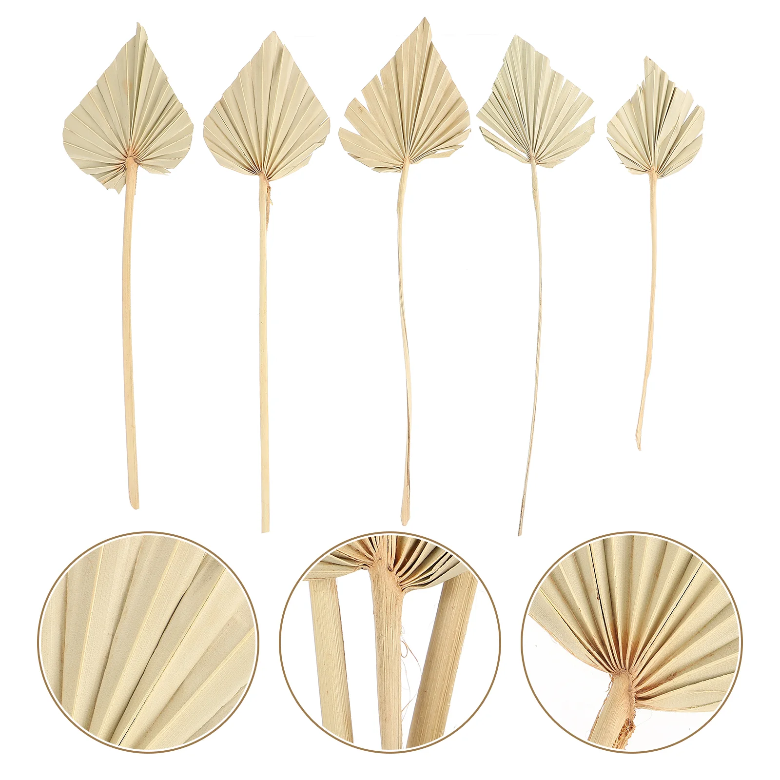

5 шт. орнамент для пальмовых листьев, Свадебный декор для стола, цветы, пальмовые копья, Свадебный декор, ваза для высушенных пальмовых листь...