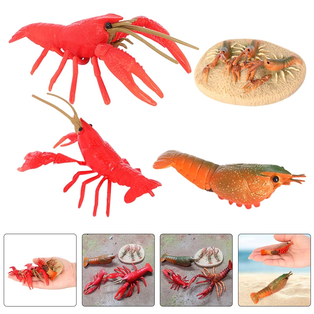 

Crayfishcycle Modelsmodel Kids Simulation Growing Animal Evolution Vivid Life Simulated Animals Lobsterling Figurine