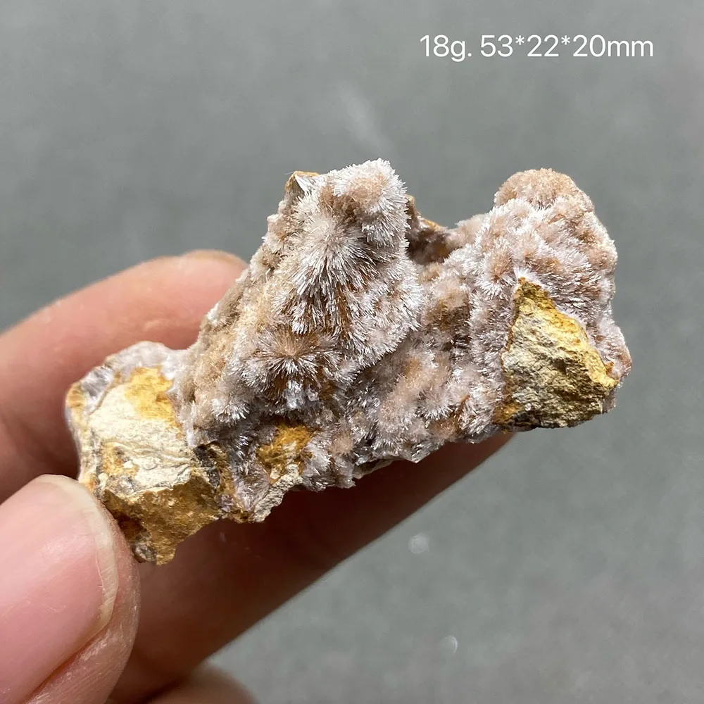 

Коллекция 100% натуральных белых минеральных элементов из арагонита.