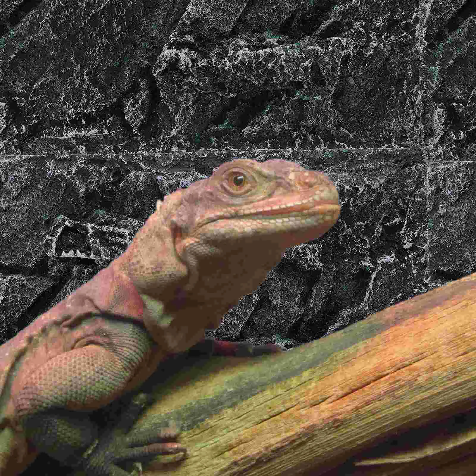 

Background Reptile Tank Board Terrarium Aquarium Snake Tile Cork Decorative Decor Lizard Vivarium Box Accessories Decoration