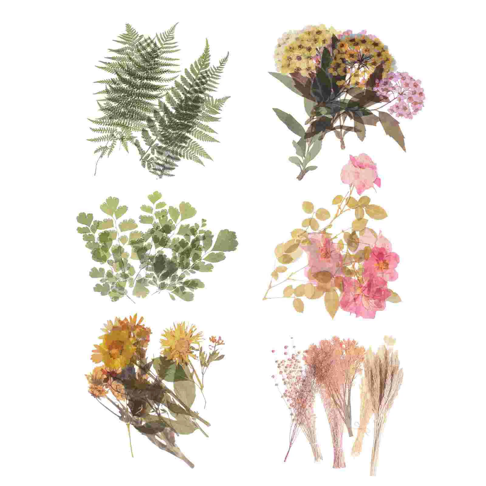 

6 Sets Hand Account Plant Sticker DIY Scrapbook Stickers Self-adhesive Plant Stickers