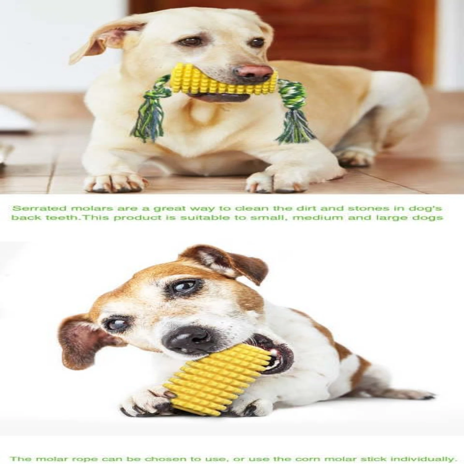 Роскошные закуски для гурманов от Fe-оцените ваши вкусные бутоны с нашими