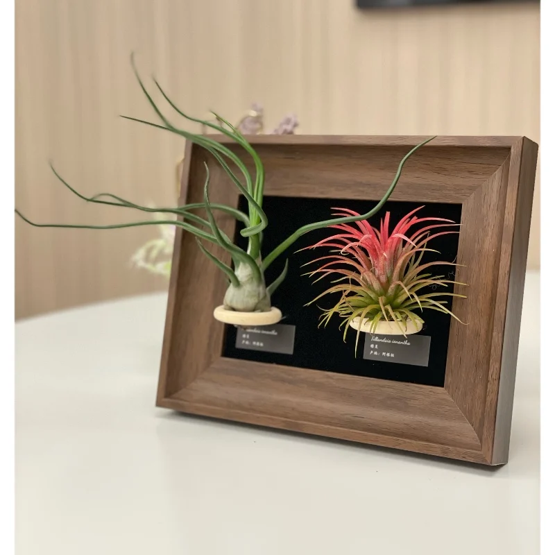 Декоративная фоторамка в виде ананаса для офиса Настольная фотографий дома кафе