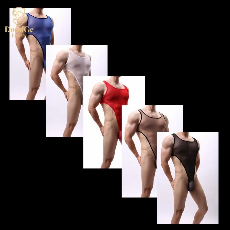 Sexy Men One-piece Bodysuit Sheer Mesh Transparent Lingerie High Cut Thong Leotard Jumpsuit Tank Wrestling Singlet Bodysuit