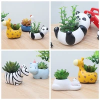 creative japanese style panda micro landscape desktop decoration ornaments resin small potted plant pot succulent flower pot