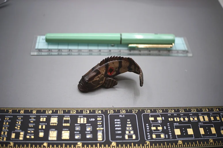 

Worldbox 1/6 AT036 Sodier Accessories Grouper Fish for 12''