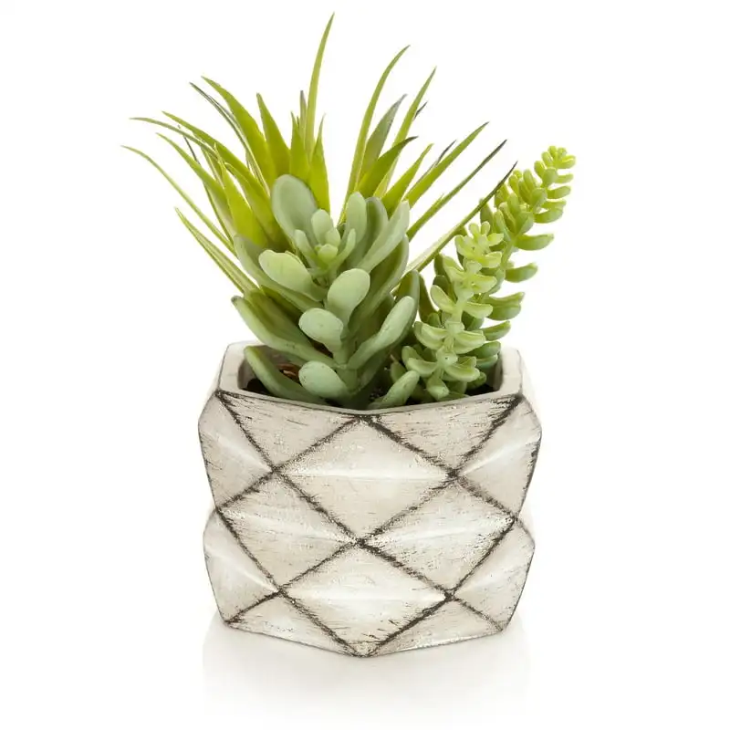 

Mixed Artificial Succulent Arrangement in Cement Planter Pot