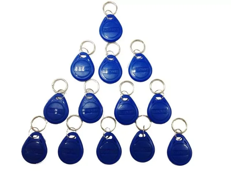 

50/100pcs Blue RFID 125 khz EM4100 Key Tag Keyfobs Ring Chip Keytab TK4100 Tags 125khz Read Only