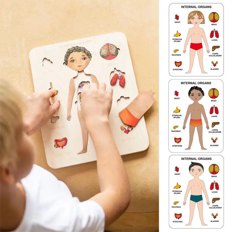 

Body Puzzles For Kids Montessori Toys Wooden Puzzle Human Body Puzzle Preschool Game For Learning Human Body Parts For Kids Ages