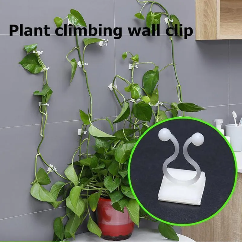 

Plant Climbing Wall Self-Adhesive Fastener Tied Fixture Vine Buckle Hook Garden Plant Wall Climbing Vine Clips Fixed Buckle Hook