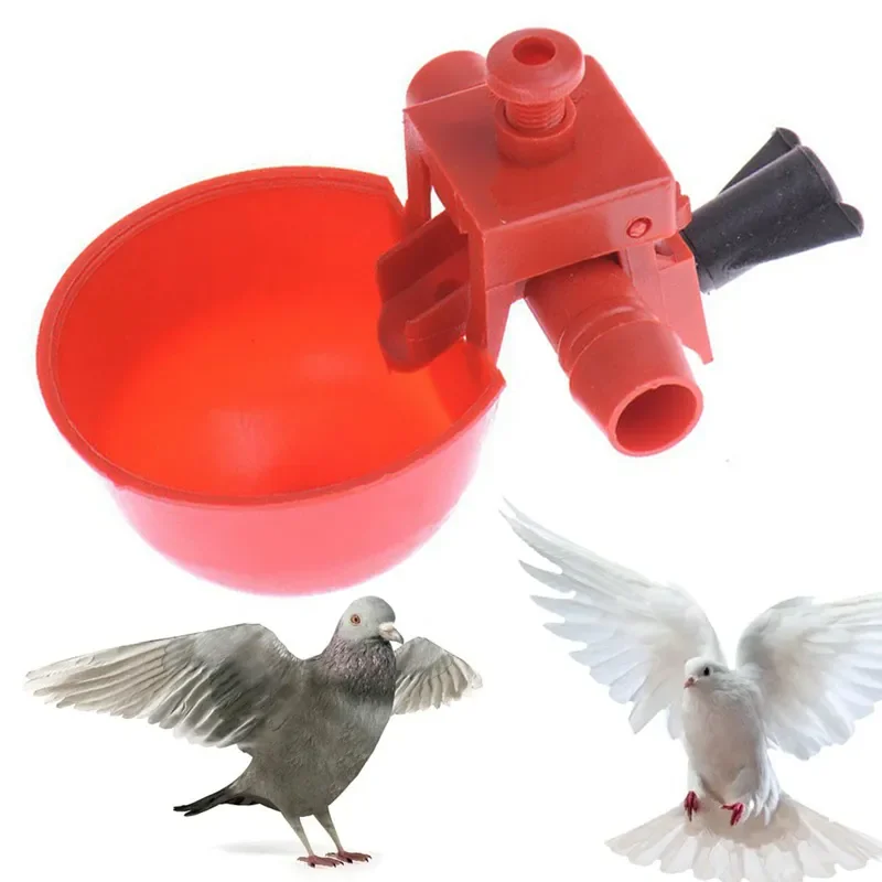 

Chicken Drinker Drinking Cups For Chickens Red Quail Chicken Waterer Bowl Automatic Poultry Coop Feeder Water Drinking Cup