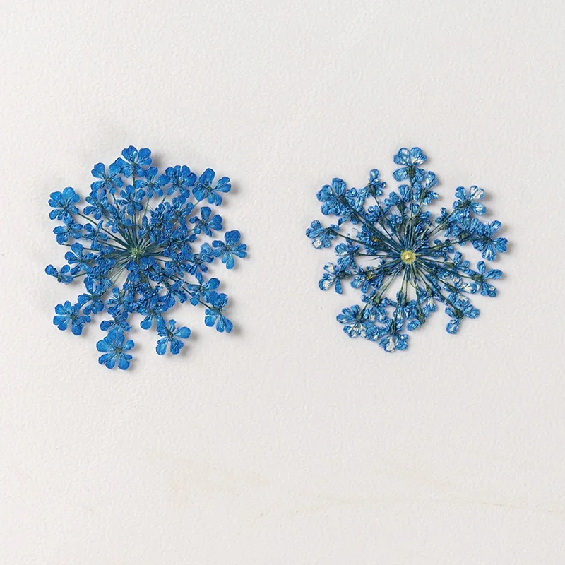 24 шт./1 5-2 5 см натуральный Снежный бисер прессованный лепесток цветов капельная