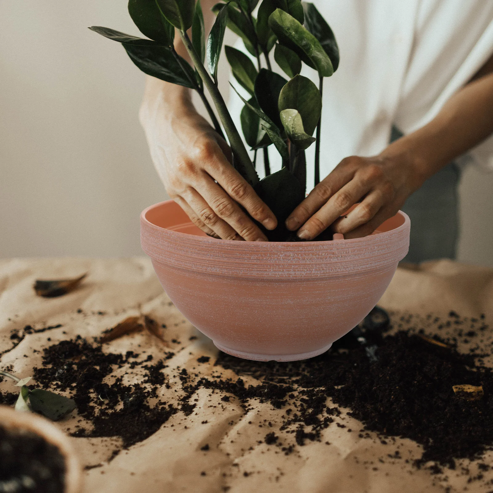 

Pot Indoor Plants Flower Pots Planter Household Flowerpots Orchid Nursery Planting Planters Flowers
