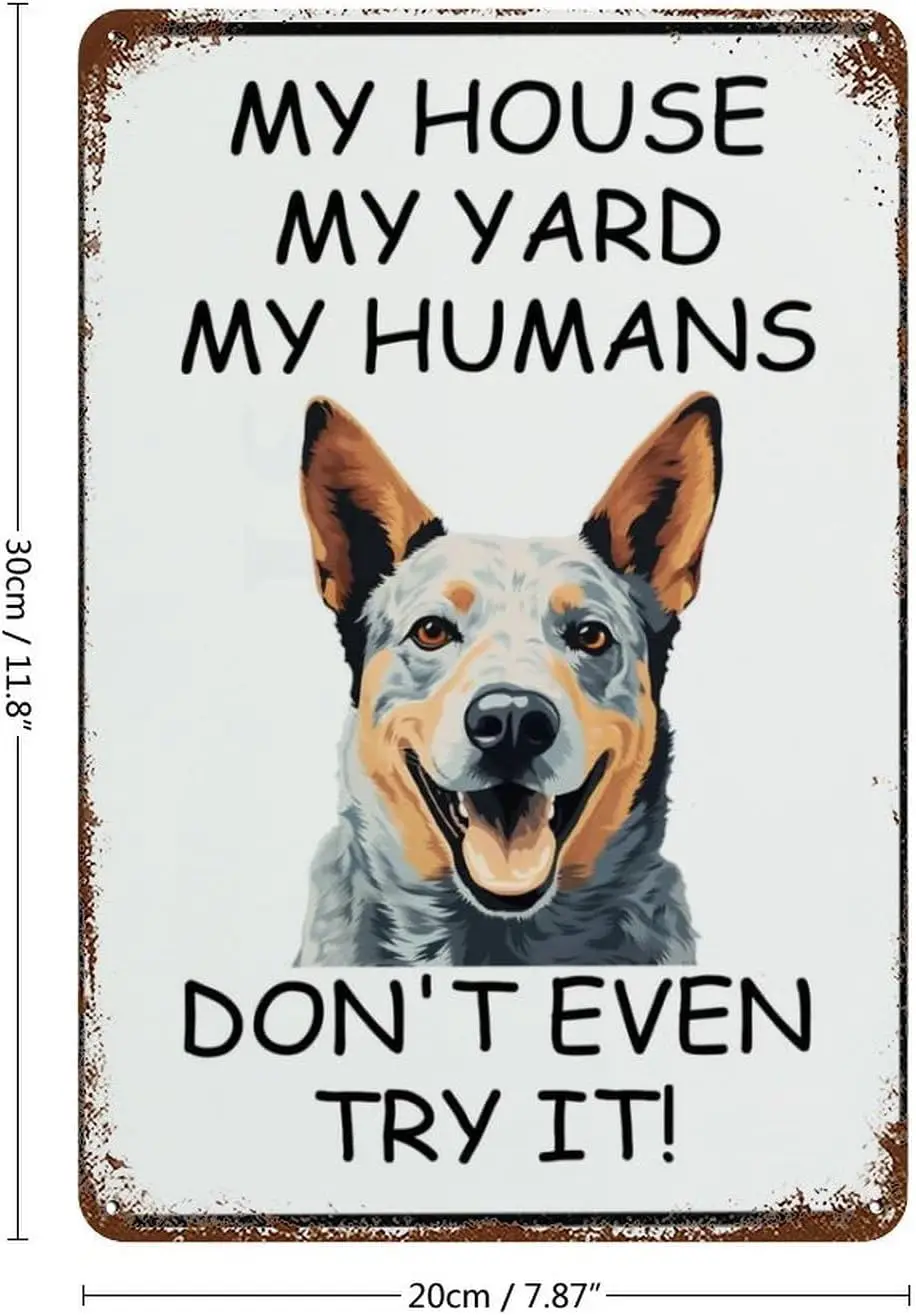 Забавный винтажный жестяной знак Австралийский скот мой дом двор человек собака