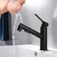 copper basin pull double water faucet wash basin cold and hot telescopic pull can wash faucet