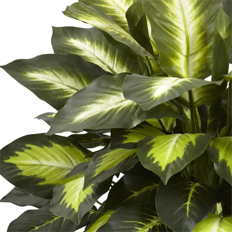 

Triple Golden Dieffenbachia Artificial Plant with Wood Vase, Green