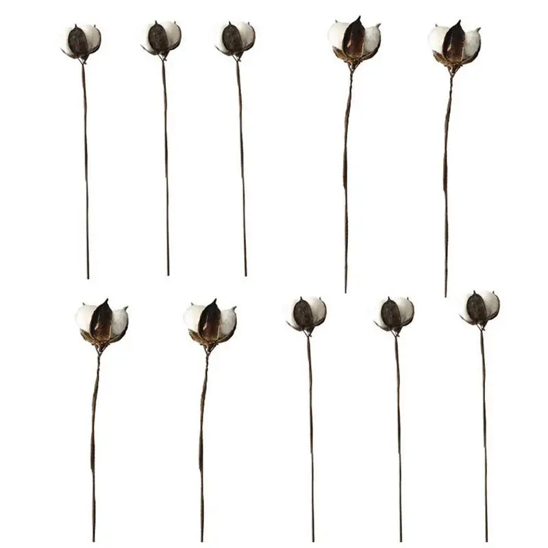 

10 Pcs/Set Single Stem Cotton Long Branches Dry Cotton Stems Cotton Floral Imitation Cotton Branch DIY Farmhouse Style Decor