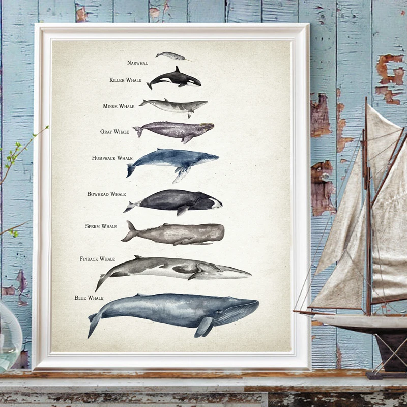 

Whales Chart Print Cartoon Whale Watercolor Canvas Painting Child Educational Poster Nursery Wall Art Pictures Kids Room Decor